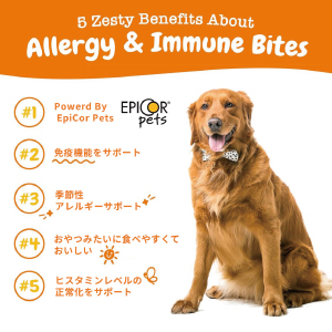 yZestyPawszTCY AM[ &  Ɖu oCc 90 p\tg`E s[ibco^[t[o[ Allergy & Immune Bites